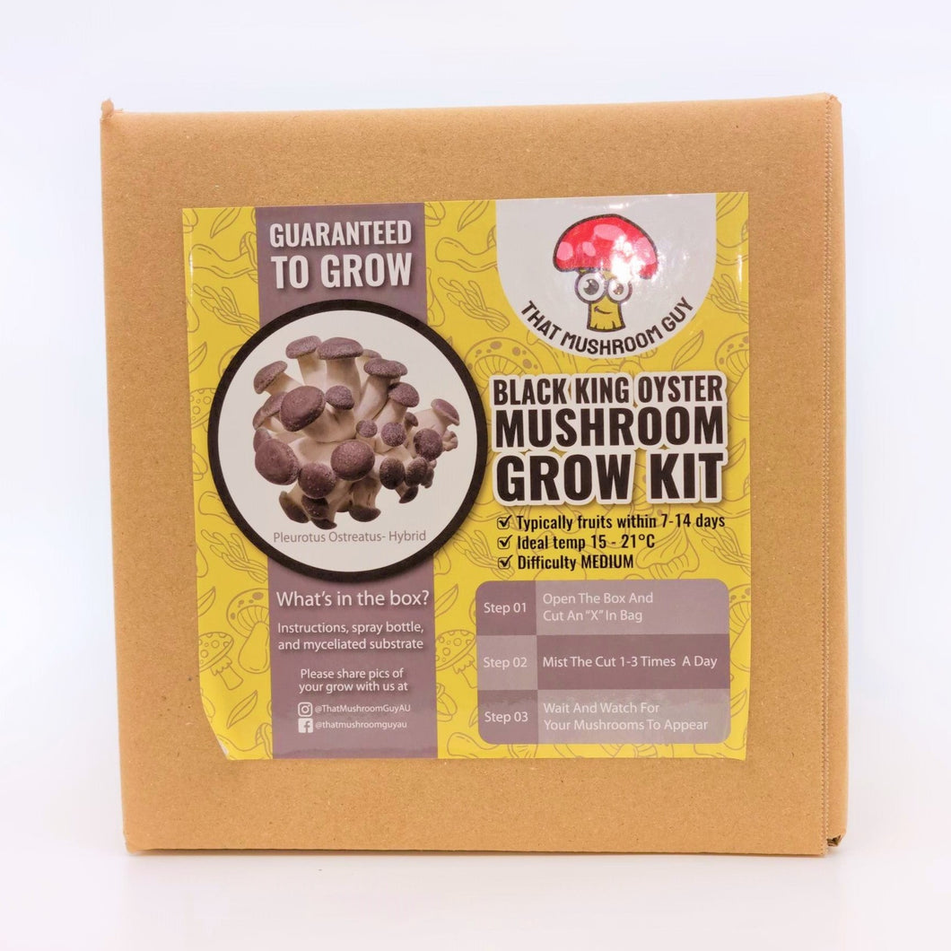 That Mushroom Guy Black King Oyster Mushroom Kit