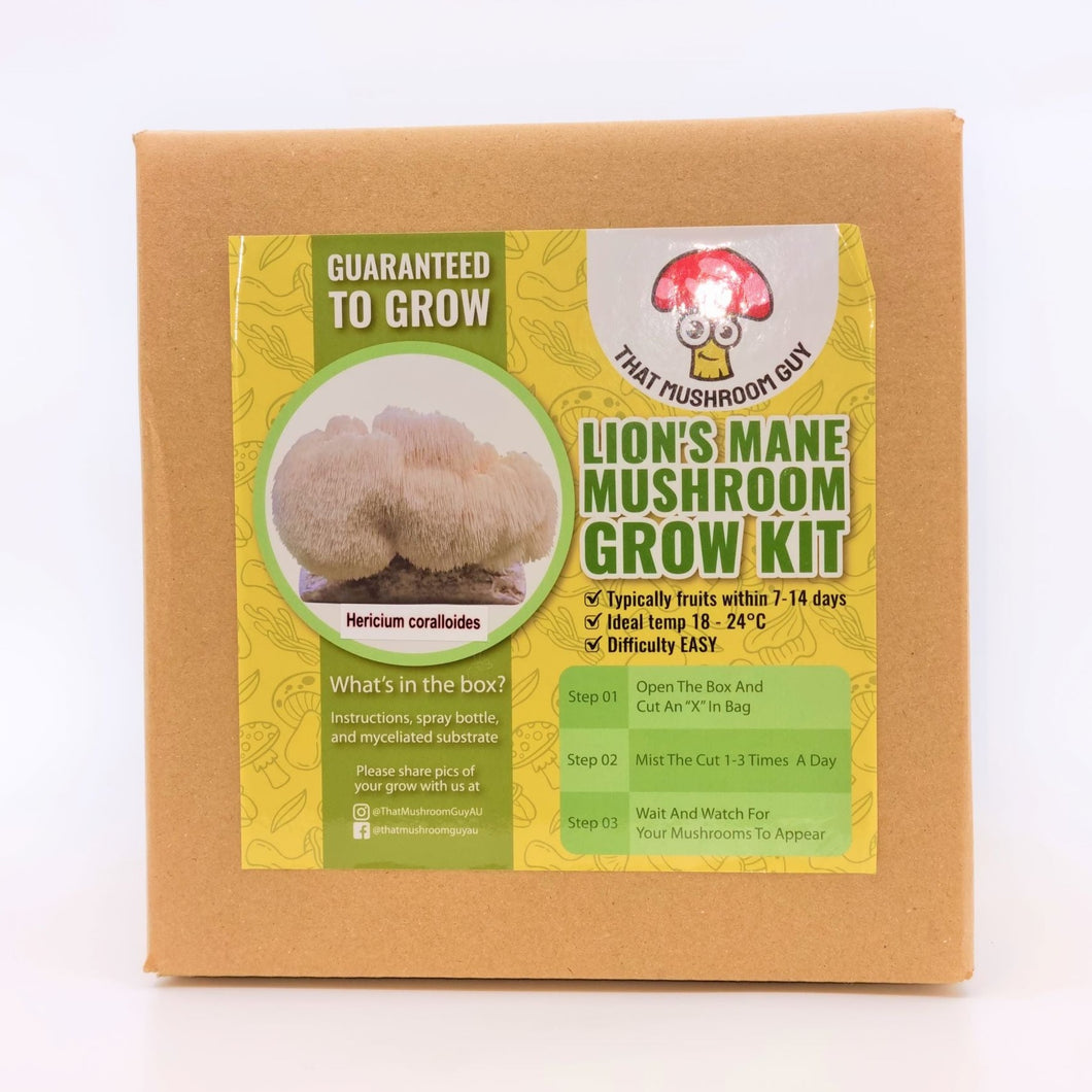 That Mushroom Guy Lion's Mane Mushroom Kit